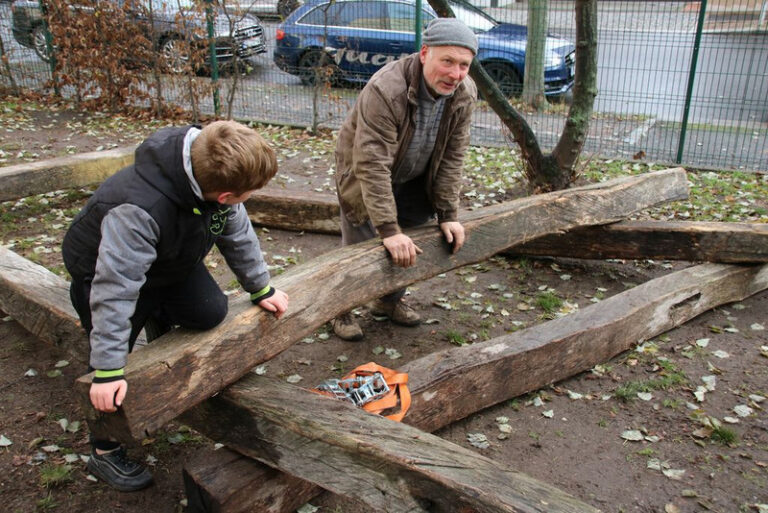 Holzbau